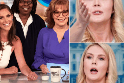 VIDEO: Karoline Leavitt’s Historic $800 Million Legal Victory Leaves The View Reeling – The Final Blow to Legacy Daytime TV?