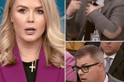 THIS JUST HAPPENED: Shocking Fallout—Reporter FIRED After INSULTING Karoline Leavitt on Live TV!