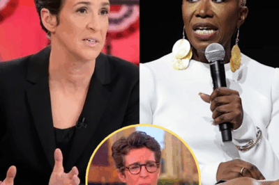 Rachel Maddow’s Fiery Confrontation Rocks NBC: Unveiling the Shocking Truth Behind Joy Reid’s Sudden Exit and Labeling Executives as ‘Bastards’ – What Really Happened?