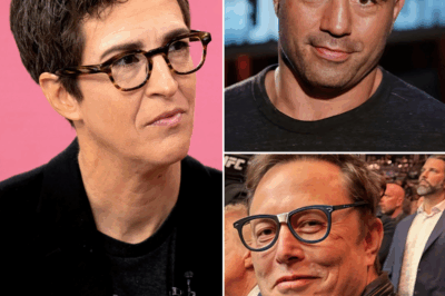 HOT: Joe Rogan Set to Replace Rachel Maddow at MSNBC Following Shocking Network Changes! A major shakeup is brewing at MSNBC, with rumors swirling that Joe Rogan could be replacing Rachel Maddow. What’s behind this surprising move, and how will it affect the future of MSNBC’s programming?
