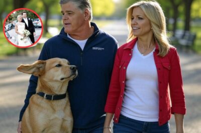 Sean Hannity and Ainsley Earhardt reunite after two divorces and decide to get married for the third time, leaving the world waiting
