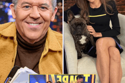 BREAKING: ‘Can’t miss this’ – Kat Timpf confirms her TV return after having a baby and surgery