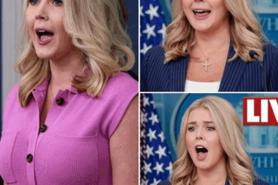 EXCLUSIVE, CONTROVERSY EXPLOSION: Karoline Leavitt exposes the “SHOCKING TRUTH” behind a series of fake news stories from the media—The response that sent the press WORLD TURN!