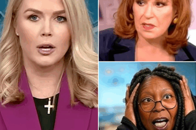 Karoline Leavitt calls for boycott of “The View” during live TV appearance sparking uproar