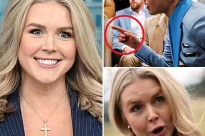 SHOCKING: Flight Attendant DESTROYS Teen’s First-Class Ticket—But Karoline Leavitt’s Bold Action SHOCKS Everyone and Restores His Dignity