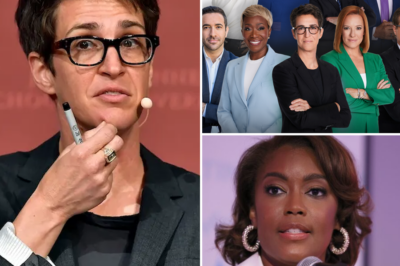 SHOCKING REVEAL! The Most Respected Journalist and Humanitarian – Rachel Maddow Leaves MSNBC Executives Red-Faced by Exposing Them as the Culprits Behind the Viewership Decline!