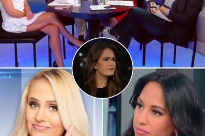 Fox News star Emily Compagno, known for her sharp analysis on The Five, is now at the center of a shocking controversy after a video surfaced showing her in a heated argument with a colleague. The footage has left fans questioning everything they thought they knew about the talented host. What triggered this explosive outburst, and what does the future hold for her at Fox News? Stay tuned to uncover the shocking details!