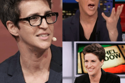 EXPLOSIVE REVELATION: Rachel Maddow Destroys MSNBC Execs—What Did She Uncover About Their Impact on Falling Ratings?