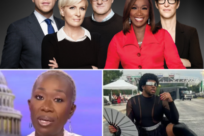EXCLUSIVE, EXPLOSIVE: MSNBC SHOCKS VIEWERS – New TV Star Announced to Replace Joy Reid After Brutal Firing, The Surprising Truth Behind the Network’s Decision Revealed! The shocking revelation comes as MSNBC faces internal turmoil and questions about its future direction.