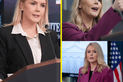 HORRIFIC CYBER ATTACK: Karoline Leavitt Speaks Out After Brutal Social Media Bullying—The Viral Campaign That’s Leaving Even Her Haters Shocked! “I Can’t Look Away,” Says One Viewer—But Who’s Behind It?
