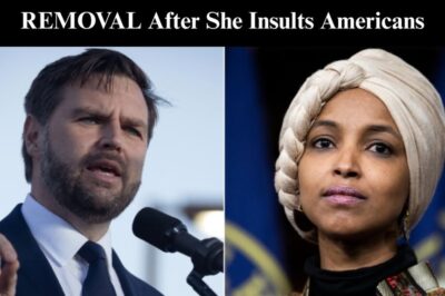 VP Vance Rips Ilhan Omar Over Resurfaced ‘Fearful of White Men’ Clip