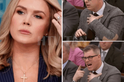 THIS JUST HAPPENED: In a dramatic turn of events, a reporter was fired after making a humiliating insult toward Karoline Leavitt during a live interview. What started as a routine exchange quickly turned toxic when the reporter crossed the line with a disrespectful comment aimed directly at Leavitt.