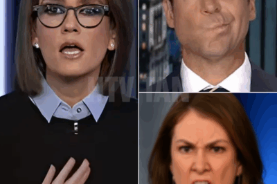 FOX NEWS ON-AIR SHOWDOWN: Jesse Watters and Jessica Tarlov Explode in Shocking TV Clash—Audience Gasped as Insults Flew! Viewers Stunned by Intense Exchange Between Fox News Co-Hosts—Did This Heated Moment Go Too Far?