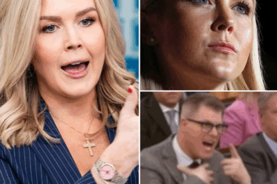 FOX NEWS SHOCKER: Reporter FIRED After Insulting Karoline Leavitt LIVE—Her Blistering Response Leaves Everyone Stunned! What Was Said That Sparked the Dramatic Fallout? The Explosive Moment on Air That Led to the Reporter’s Immediate Firing—And How Karoline Leavitt Handled the Situation with Unbelievable Strength! Get the Full Inside Scoop on This Jaw-Dropping TV Moment That’s Going VIRAL!