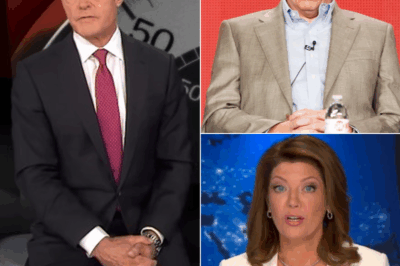 STINGING REBUKE 60 Minutes anchor Scott Pelley launches blistering attack on show bosses live on air – days after top chief resigns