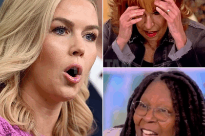 KAROLINE LEAVITT CALLS FOR BOYCOTT OF THE VIEW LIVE—The SHOCKING Moment That Left Fans RAGING with Support! What Did She Say That Sparked the Internet?