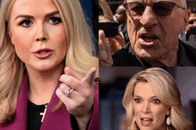 Karoline Leavitt DESTROYS Robert De Niro On Live TV – His Furious Reaction Goes INSANELY Viral!