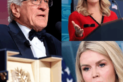 BREAKING NEWS: Robert De Niro Claims “Karoline Leavitt Is Not Qualified to Be a Role Model for Women”