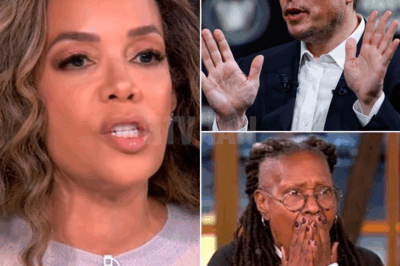 TV ERUPTS IN CHAOS: Sunny Hostin STUNS ‘The View’ Audience by Calling Elon Musk a “Bastard” LIVE On Air — Musk’s Unexpected Response FREEZES the Studio as Joy Behar Scrambles to Apologize — What Sparked the Outburst? Viewers and Execs in Total Shock!