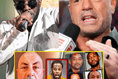 BOMBSHELL REVEAL: Joe Rogan DROPS The SHOCKING List Of Celebs Who Could Be TAKEN DOWN WITH DIDDY!