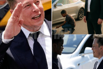 Black Boy Helps Elon Musk with Flat Tire, The Next Day, a New Model of Tesla Showed Up at His House