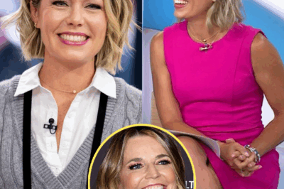 Dylan Dreyer facing backlash as angry fans call her “a troublemaker” after she suggests being harassed by a Today Show coworker—debate arises over who is truly responsible.