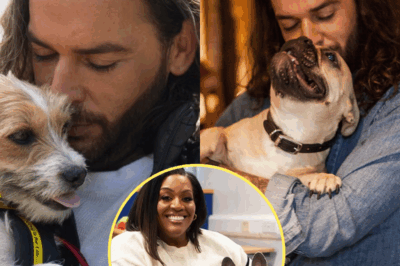 SH0CKTWIST: Alison Out, Pete Wicks In: ‘For Dogs’ Sake’ Set for a Massive Shake-Up!