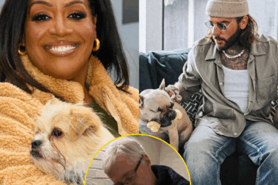 Fans Rally Behind Pete Wicks as the Perfect New Face of For the Love of Dogs