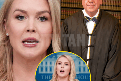 SHOCKING TWIST: When Judge Charles Hargrove mocked Karoline Leavitt’s faith, calling her a fanatic and slapping her with a fine, he didn’t expect her next move. Now, after a devastating $800 million lawsuit, Hargrove has fled to Switzerland, his career shattered. What secrets did Karoline uncover that forced a powerful federal judge to abandon everything overnight? You won’t believe the full story!