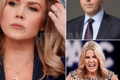 Karoline Leavitt Silences Gabe Gutierrez in Explosive TV Showdown — “You Can’t Argue with Willful Ignorance!”