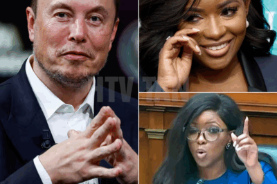 BREAKING: Elon Musk just delivered one of the most brutal reality checks ever on live television, and Jasmine Crockett didn’t see it coming.