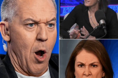 Greg Gutfeld Abruptly Halts Live Broadcast After Jessica Tarlov’s Stunning Misstep Leaves Fox News Studio in Chaos—Viewers Left Speechless as On-Air Tension Erupts in Real Time