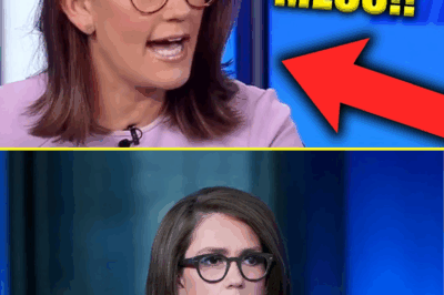 “I had to apologize for something I never did” – Fox News’ Jessica Tarlov stuns audiences, saying she’s become a “sacrificial pawn” for her bosses. What happened?