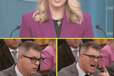 REPORTER FIRED AFTER HUMILIATING KAROLINE LEAVITT ON LIVE TV—THE COMMENT THAT INSTANTLY ENDED HIS CAREER AND THE SHOCKING REACTION FROM FOX NEWS THAT HAS EVERYONE REPLAYING THE MOMENT OVER AND OVER.