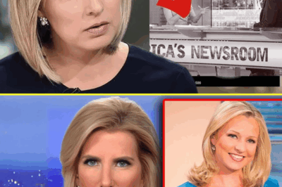Sandra Smith’s Emotional Confession LIVE on Fox News—The Hidden Sacrifices of Her Career, Motherhood, and Choosing Truth Over Comfort Will Leave You Speechless! 😲👶