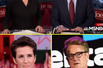 MSNBC’s Future Unveiled: Two Top Hosts Survive Network Shakeup, But a Mysterious Twist Raises Questions About Their Survival—What Was Really Behind the Sudden Change?”