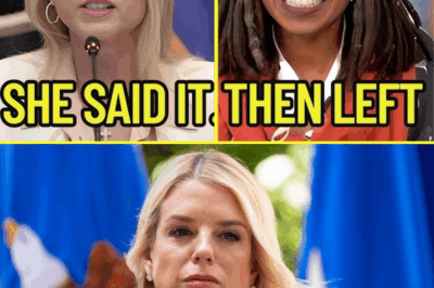 Pam Bondi SHATTERS The View Live—A Single Line Leaves Hosts Frozen, Audience Gasping, and Producers Scrambling!