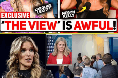 BREAKING: Karoline Leavitt Just BANKRUPTED The View — And Megyn Kelly’s Response Says EVERYTHING It started with a reckless joke on air. -silas