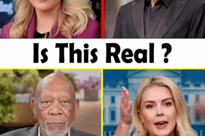 LIVE TV ERUPTION: Morgan Freeman BLASTS Karoline Leavitt Over R@CISM—Audience STUNNED as Hollywood Icon’s Powerful Words Leave Her Speechless and Trigger Social Media FIRESTORM That’s Dividing Viewers Nationwide