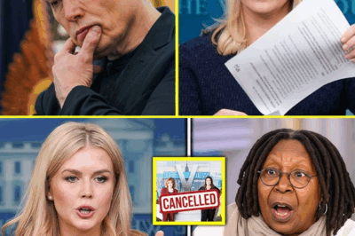 BREAKING: Just 10 minutes ago, Karoline Leavitt and Elon Musk stunned the nation by releasing a shocking exposé targeting ‘The View’. With a vault of video and insider testimony, they claim the daytime show has a “hidden agenda” and a “manipulative script.” Leavitt declared live: “That show is not just a talk show—it’s where narratives are weaponized.” Millions are demanding answers. Is this the beginning of the end for the most controversial panel on television?