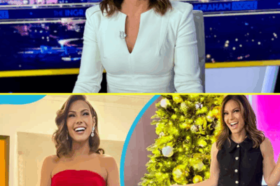 WHO IS LISA BOOTHE, REALLY? THE TRUTH BEHIND HER MYSTERIOUS PERSONAL LIFE—IS SHE MARRIED, SINGLE, OR SOMETHING ELSE? Find Out What Fox News’ Bold and Beautiful Commentator Does When She’s Not On-Air.