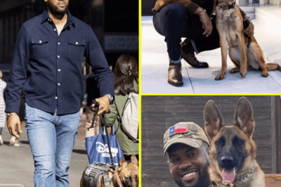 LAWRENCE JONES SAVES ABANDONED DOG—But What Happened After Nala Entered His Life Has Viewers Around the World Sobbing With Joy and Asking: Is This the Most Heartwarming Fox News Story Ever Aired?
