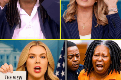 KAROLINE LEAVITT’S EPIC CALL-OUT OF THE VIEW: Why Fans Are CHEERING and Social Media Is on Fire After Her Bold Attack—The Shocking Moment That’s Taking Over the Internet!