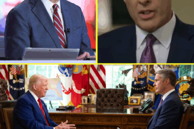 FIRED ABC Anchor Terry Moran Lands New Job in 24 Hours—Vows REVENGE With Explosive Secret That Could Tear Network Apart, And His Next Move Might Destroy What’s Left of ABC’s Credibility
