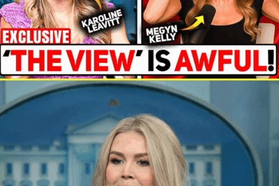 THE STAGE WAS A TALK SHOW — BUT THE FINAL ACT PLAYED OUT IN COURT