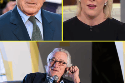ROBERT DE NIRO’S SHOCKING 8-WORD RESPONSE TO MEGYN KELLY AFTER SHE CALLS HIM “EXTREMELY STUPID” LIVE ON AIR—The Tense Moment That Took Over TV, Leaving the Studio in Absolute Silence.