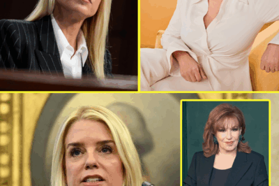 PAM BONDI SUES “THE VIEW” AFTER ON-AIR HUMILIATION—CALLS IT “THE WORST SHOW IN AMERICAN HISTORY”—WHAT WHOOPI SAID THAT PUSHED HER OVER THE EDGE MAY SHOCK EVEN THE SHOW’S LOYAL FANS.