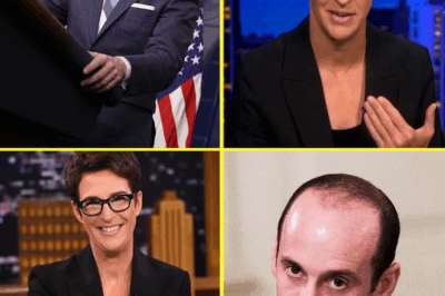 Rachel Maddow PUBLICLY HUMILIATES Stephen Miller After Wife’s Scandal ERUPTS
