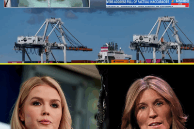 LIVE ON-AIR CHAOS: Nicolle Wallace’s Explosive Reaction to Karoline Leavitt’s Blunt Retort—The Moment That Left Viewers Stunned and the Studio in Frenzy! Is This the Most Intense TV Showdown of the Year?