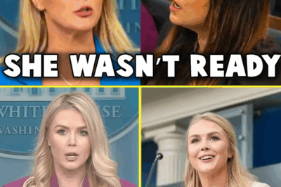 Karoline Leavitt FLATTENS Reporter Pushing LA Riot Lies—What She Said Live on Air Left the Entire Studio Frozen, and Even Her Harshest Critics Couldn’t Deny the Brutal Precision of Her Response